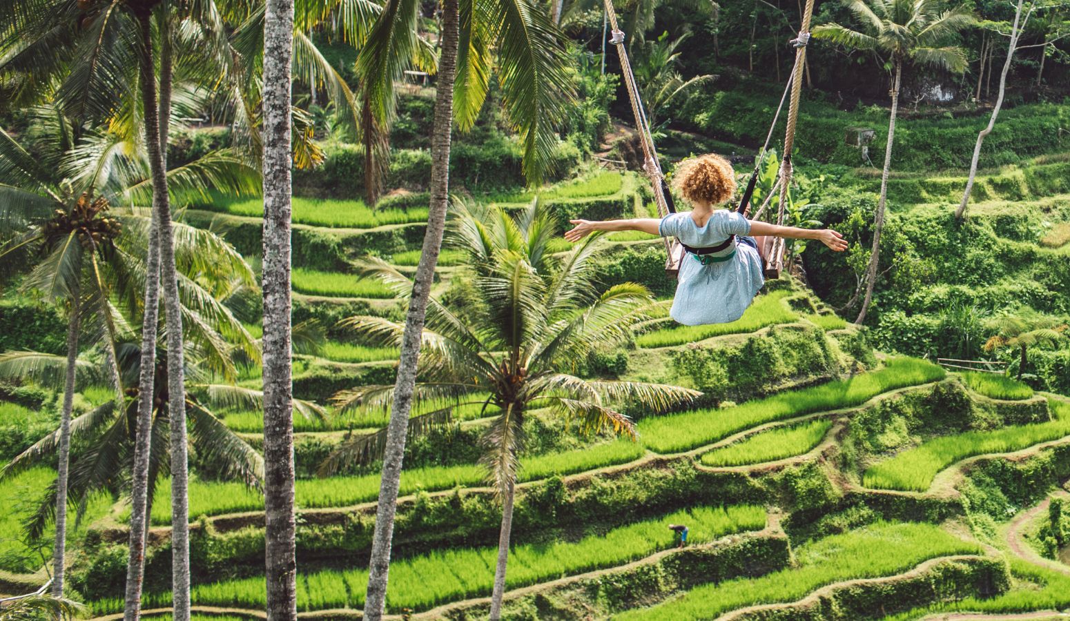 columpios sobre los arrozales  bali